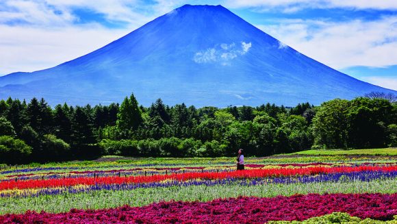 初秋のさわやか富士五湖周遊 ２日間