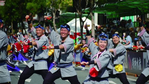 高知よさこい祭り・徳島阿波おどり ３日間