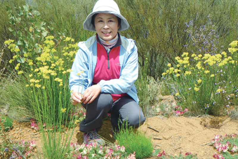 緑花文化士 清水 美重子氏