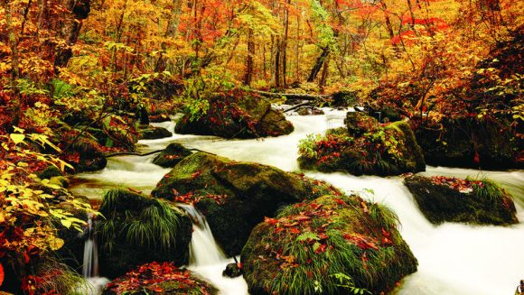 秋高しみちのく 紅葉の中を走りゆく 5日間