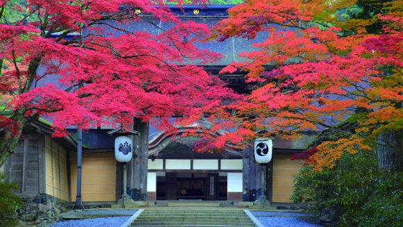 秋の比叡山・高野山・吉野山探訪 ３日間