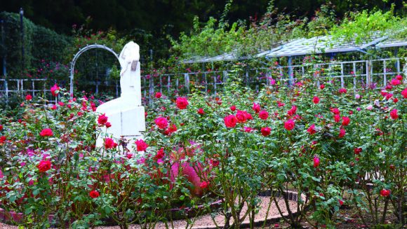 秋の花寺とコスモス揺れる古都奈良を巡る旅 ３日間