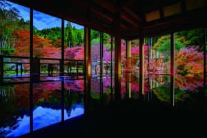 紅葉が彩る日本大周遊〈西日本編〉 ７日間