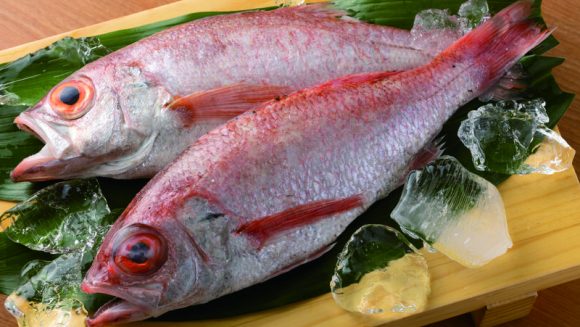 玄界灘の美味を訪ねて 呼子の「いか」と壱岐の「のどぐろ」 4日間