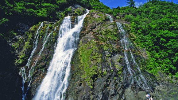 美しき悠久の大自然「屋久島」を巡る ４日間