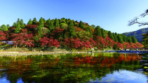 博物館明治村と東海道紅葉絶景 3日間
