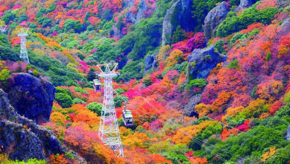 錦秋の小豆島・寒霞渓と三年とらふぐを愉しむ 3日間