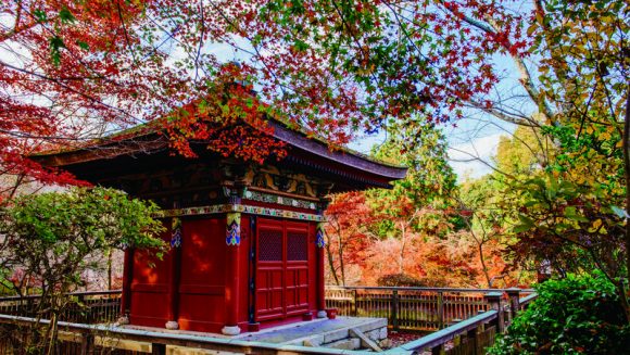 湖国近江と古都京都 錦秋の寺巡り 3日間