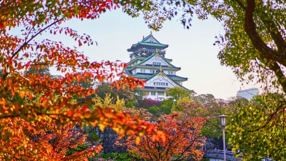 絶景のおおさか堺バルーン体験と関西紅葉さんぽ ３日間