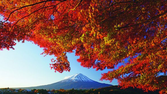 富士・箱根の紅葉と甲州ワイナリー 3日間