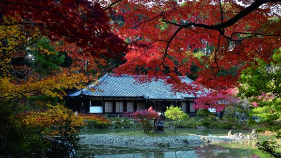 京都・奈良 二都の紅葉めぐり ３日間