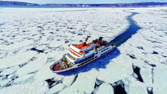 網走流氷船と羅臼・鶴居村で出会う冬のバードウォッチング 4日間